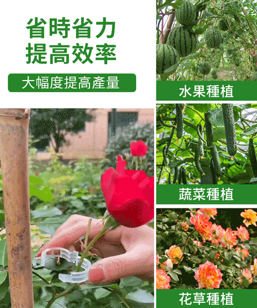 植物瓜果固定夾