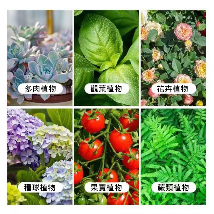 【產量翻倍】根腐抑制劑