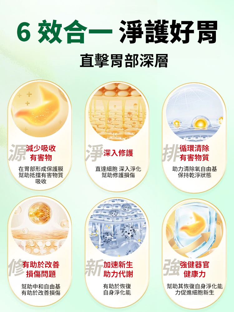 鐵皮石斛砂仁麥冬片