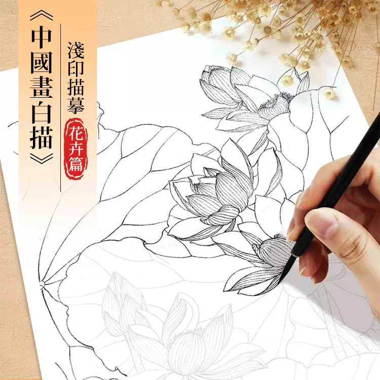 工筆劃白描描摹本套裝