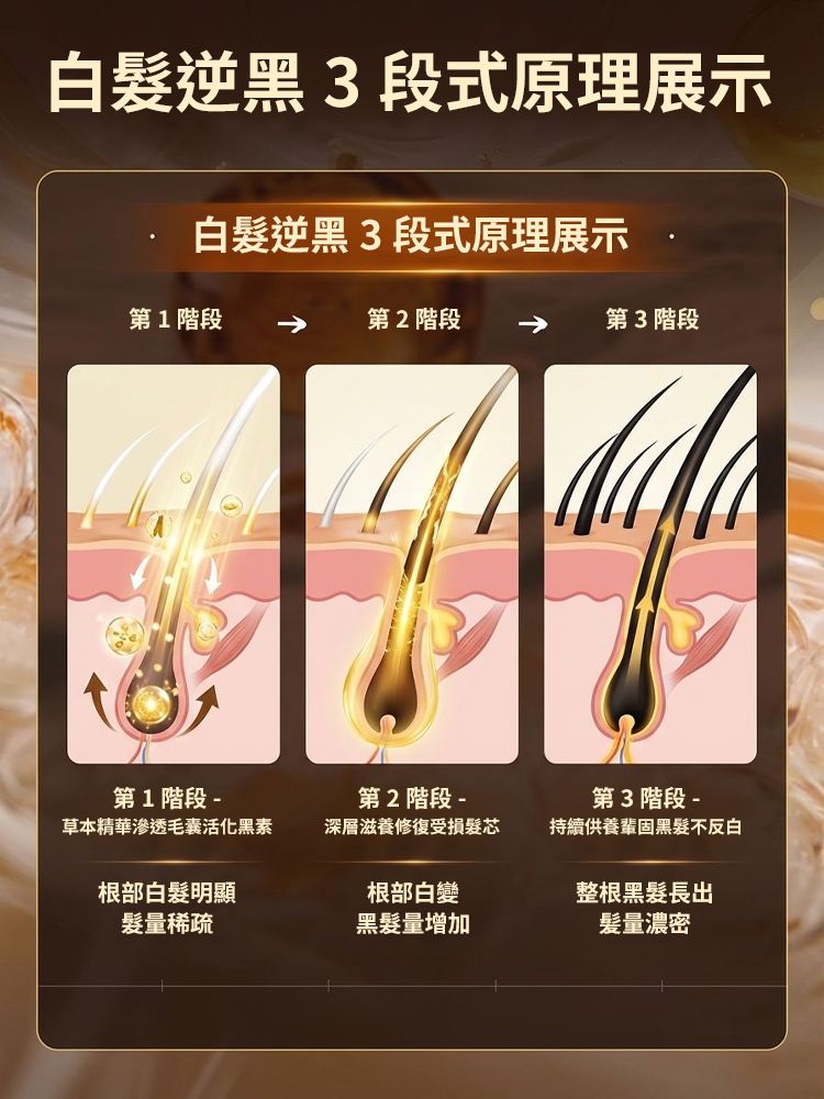 十五味本草黑養茶