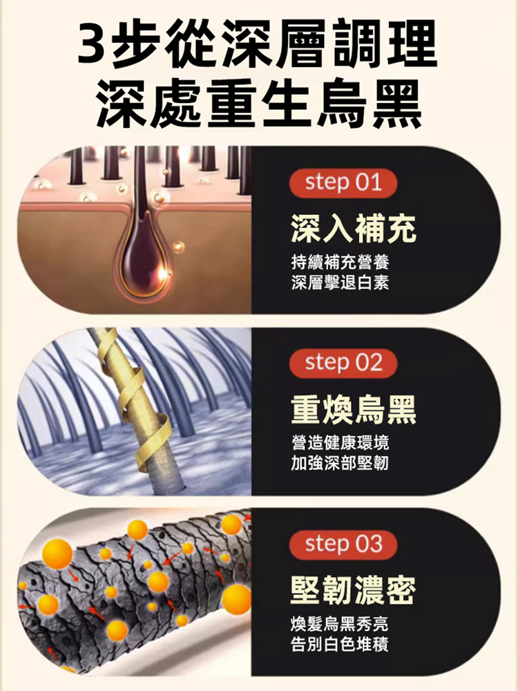 靈芝烏黑片