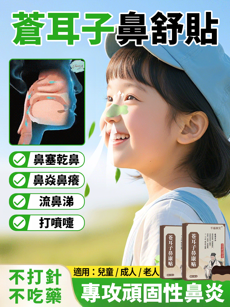 中藥草本蒼耳子鼻舒貼