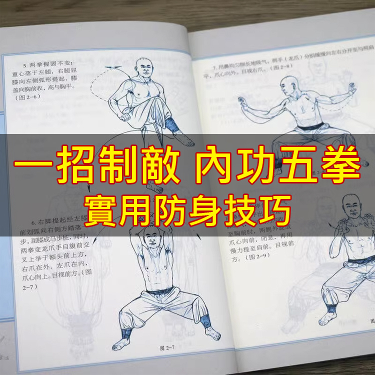 少林正宗內功五拳經典武術書籍