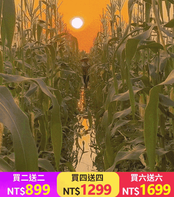 芸豆玉米渣粥