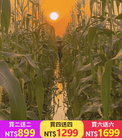 芸豆玉米渣粥