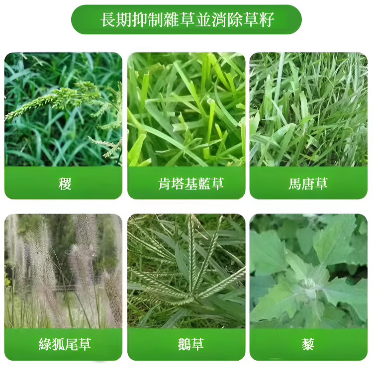 多用途安全除草土壤肥料