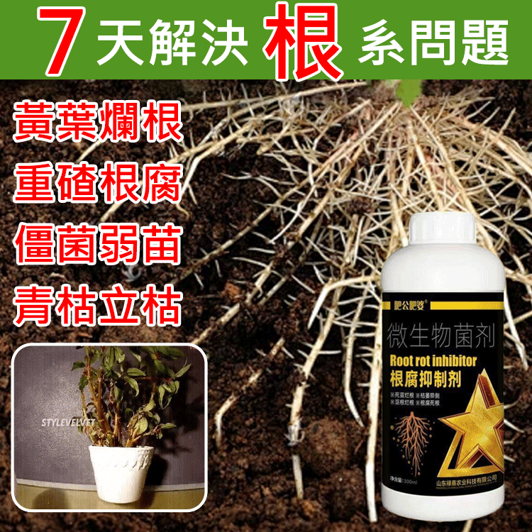 【產量翻倍】根腐抑制劑