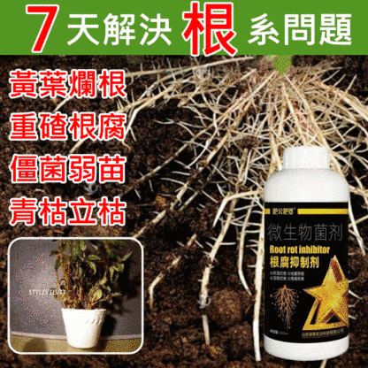 【產量翻倍】根腐抑制劑