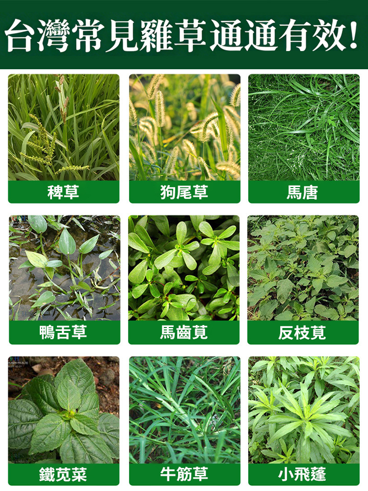 雜草強力除草劑