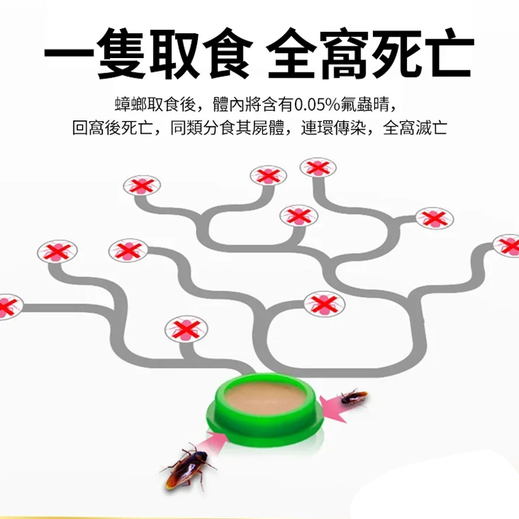 【一窩端】殺蟑螂藥方便貼