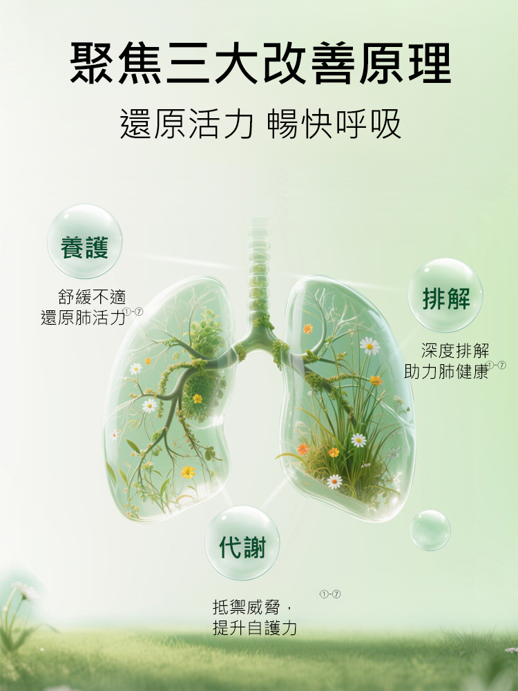 斛景藍膠囊