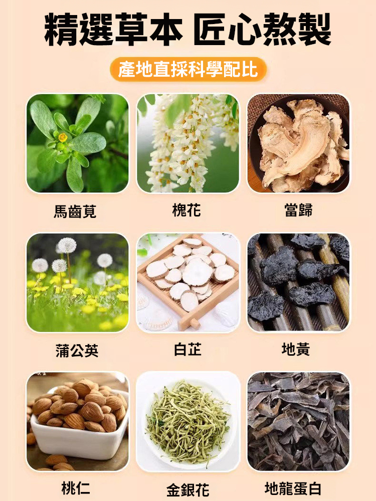 槐花馬齒莧茯苓甘草