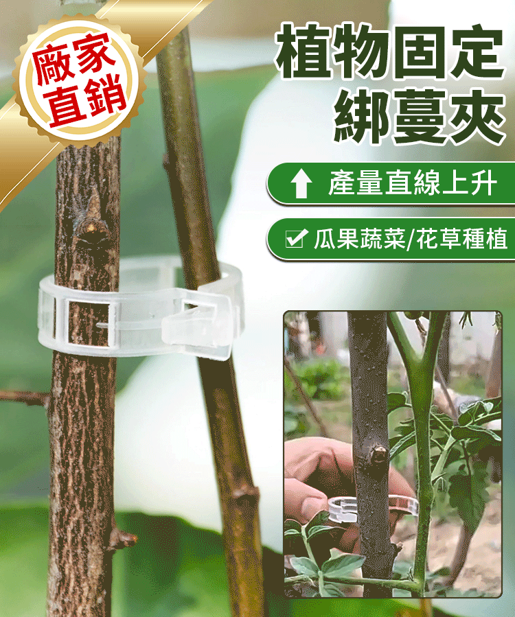 植物瓜果固定夾