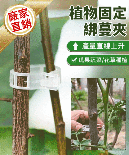 植物瓜果固定夾