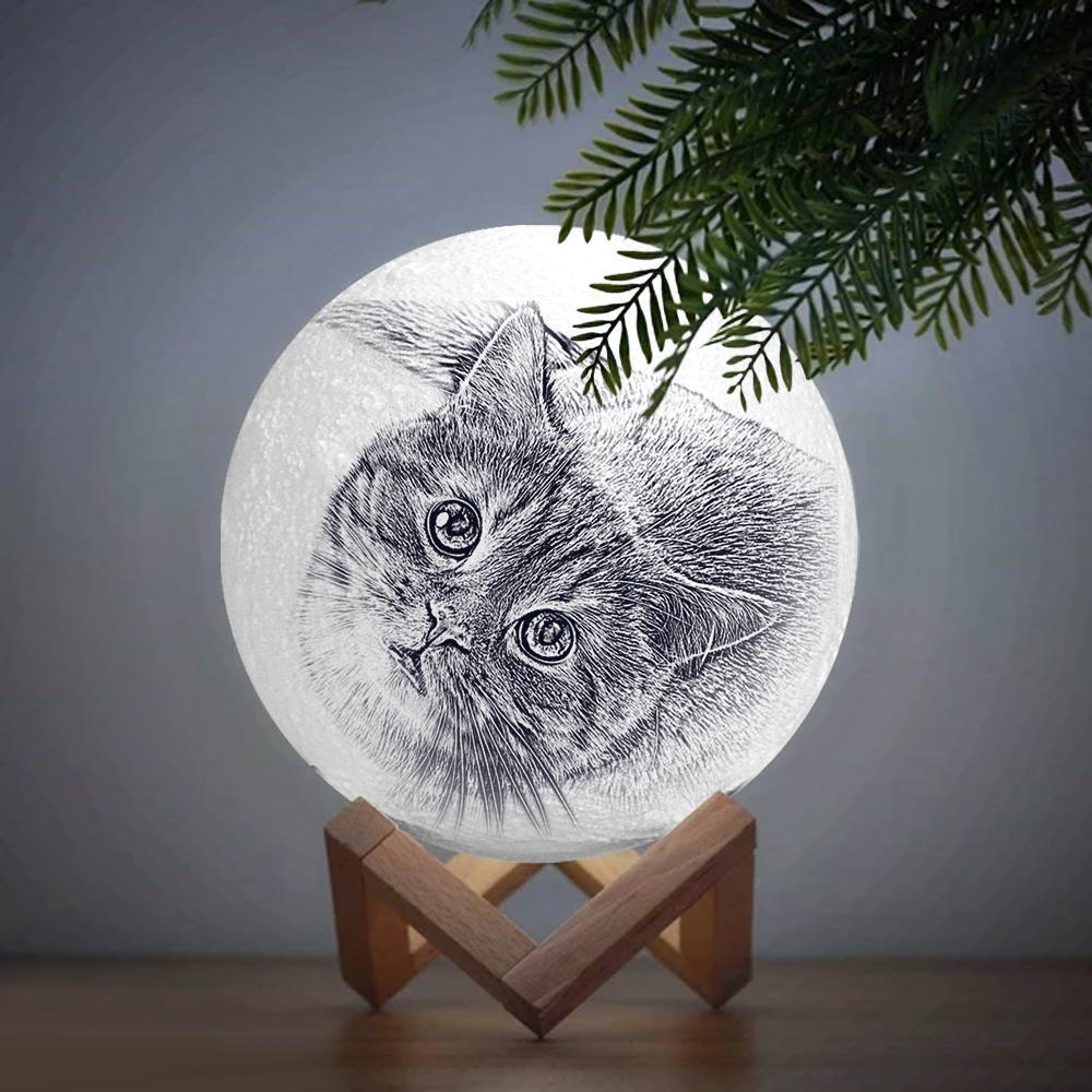 Personalised Engraved 3D Photo Moon Lamp for Pet Lovers - photomoonlampau