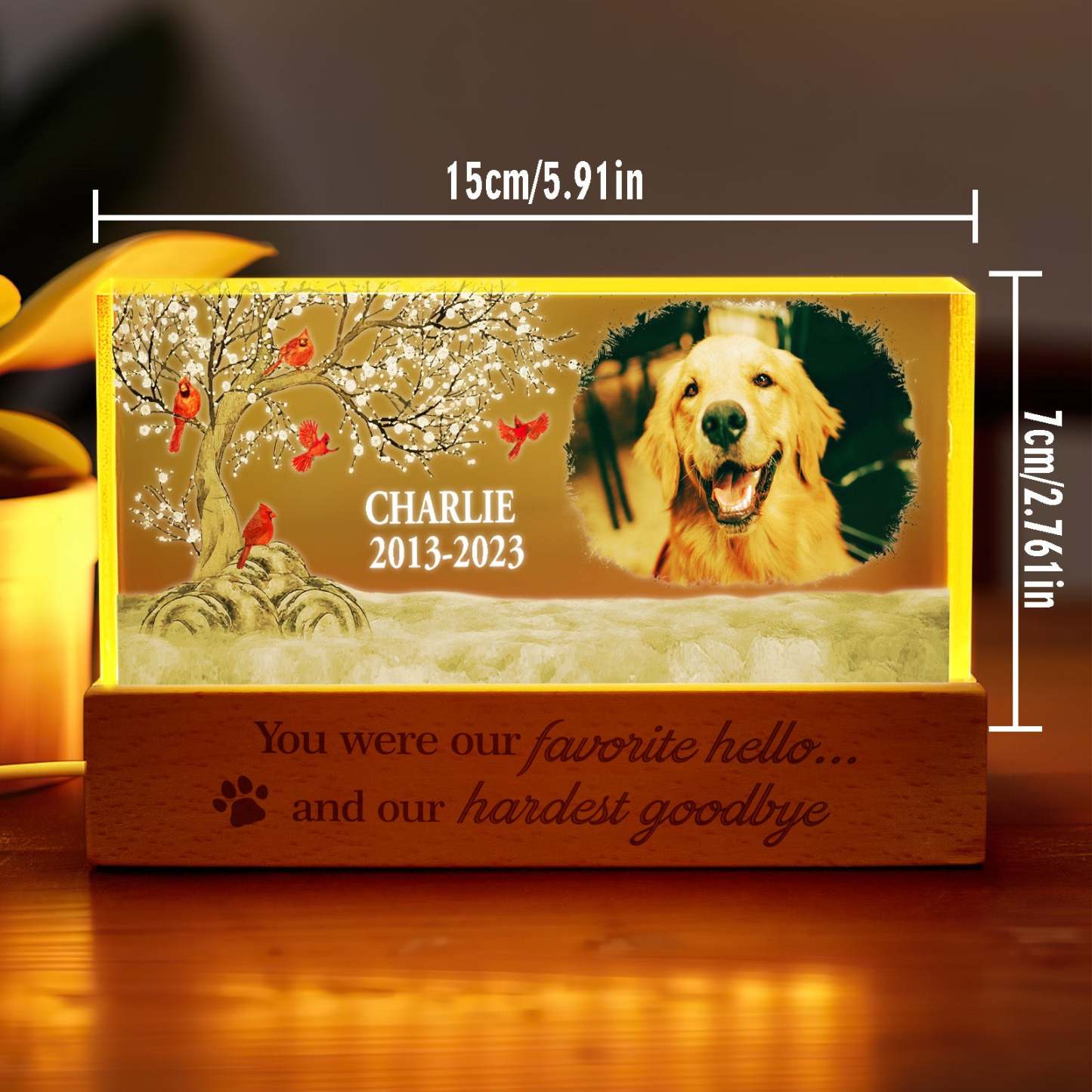 Personalized Pet Photo Night Light Custom Photo Light Memorial Gift for Pet Lover - photomoonlampau