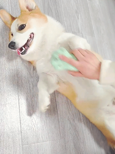 index-1210226_14.gif