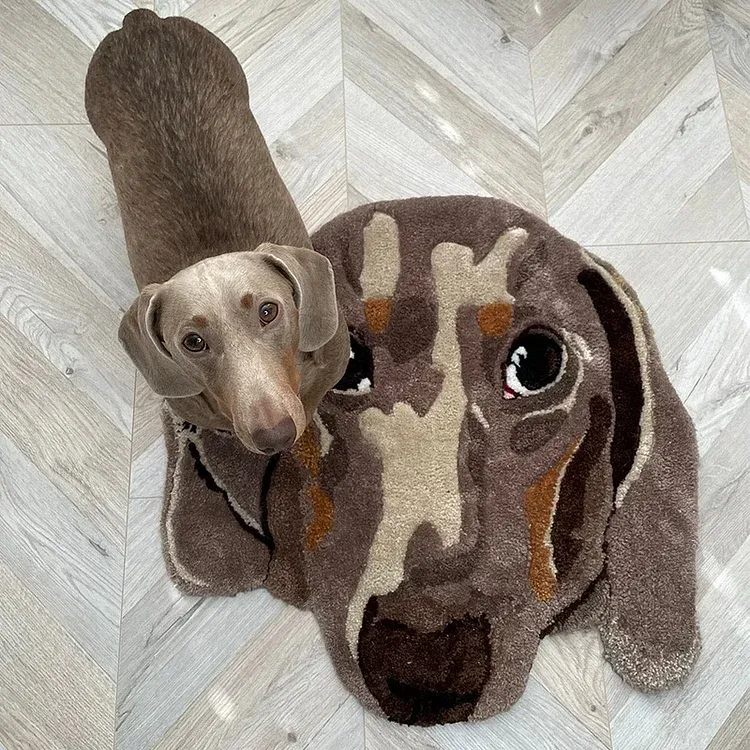 Alfombra Personalizada Con Retrato De Mascota Con Mechones Alfombra Personalizada Con Retrato De Mascota Convierte A Tu Mascota En Un Tapete De Retrato Regalos Para Amantes De Las Mascotas - 