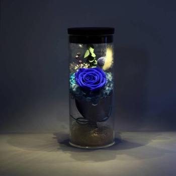 Lámpara De Noche, Lámpara Táctil Led De Botella - Azul Enchantress