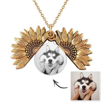 Collar Abierta Girasol Collar Girasol Con Tu Foto Linda Mascota