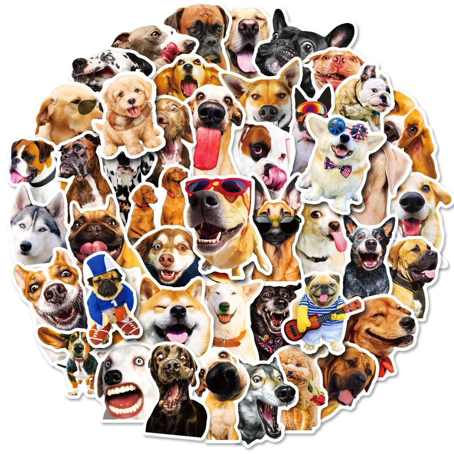 Paquete De 50 Pegatinas Cachorro 4-6cm - TuNombrecollar