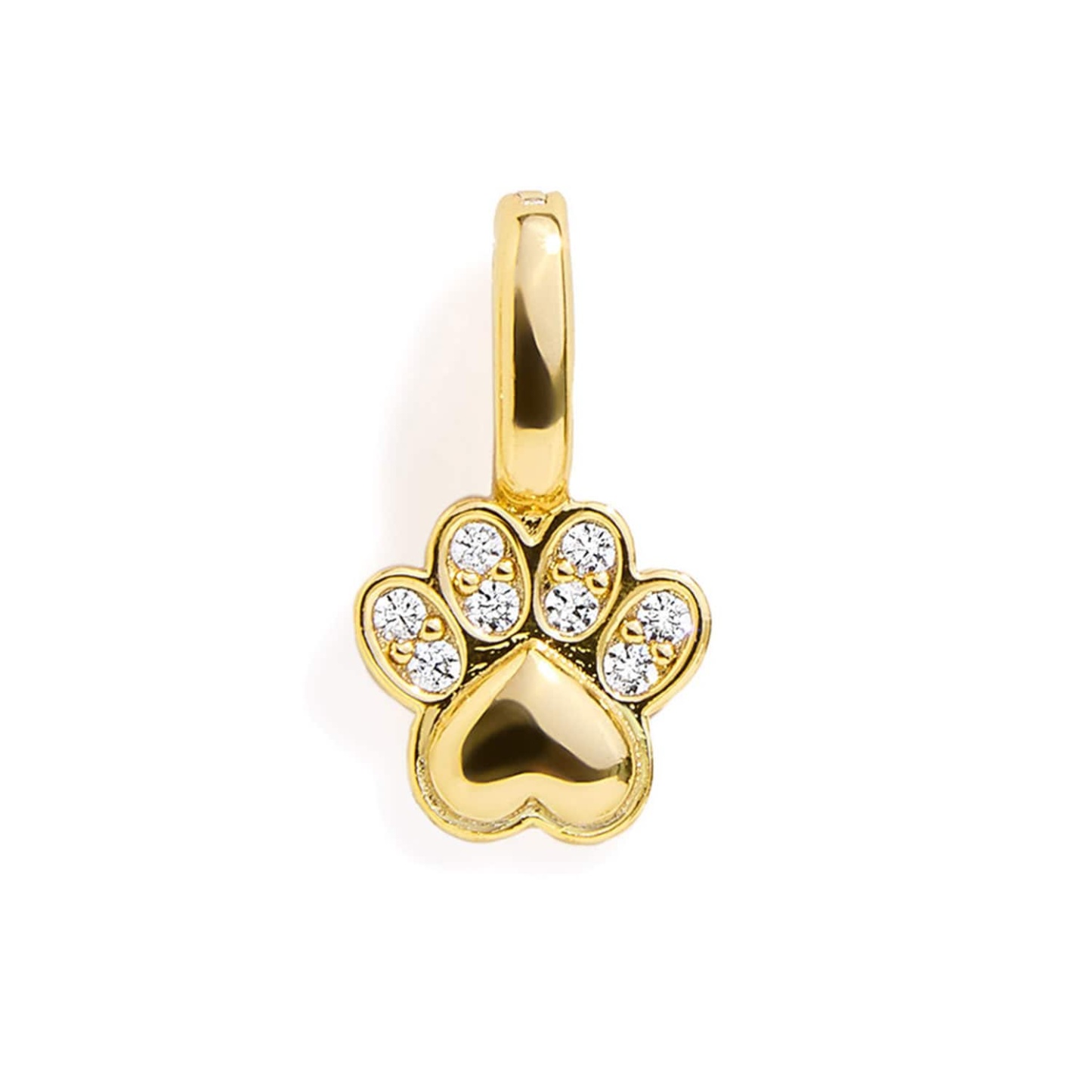 Encanto Pata - Oro - TuNombrecollar