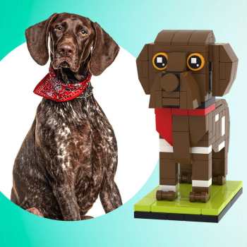 Pointeur Allemand À Poil Court Entièrement Personnalisable, 1 Photo De Chien, Figurines En Brique Personnalisées, Bloc De Petites Particules, Figurines Me, Pointeur Allemand À Poil Court Personnalisé Uniquement - votrecollierprenomfr