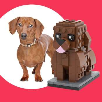 Corps Complet Teckel Personnalisable 1 Photo De Chien Chiffres De Brique Personnalisés Petit Bloc De Particules Brick Me Figures Teckel Personnalisé Uniquement - votrecollierprenomfr
