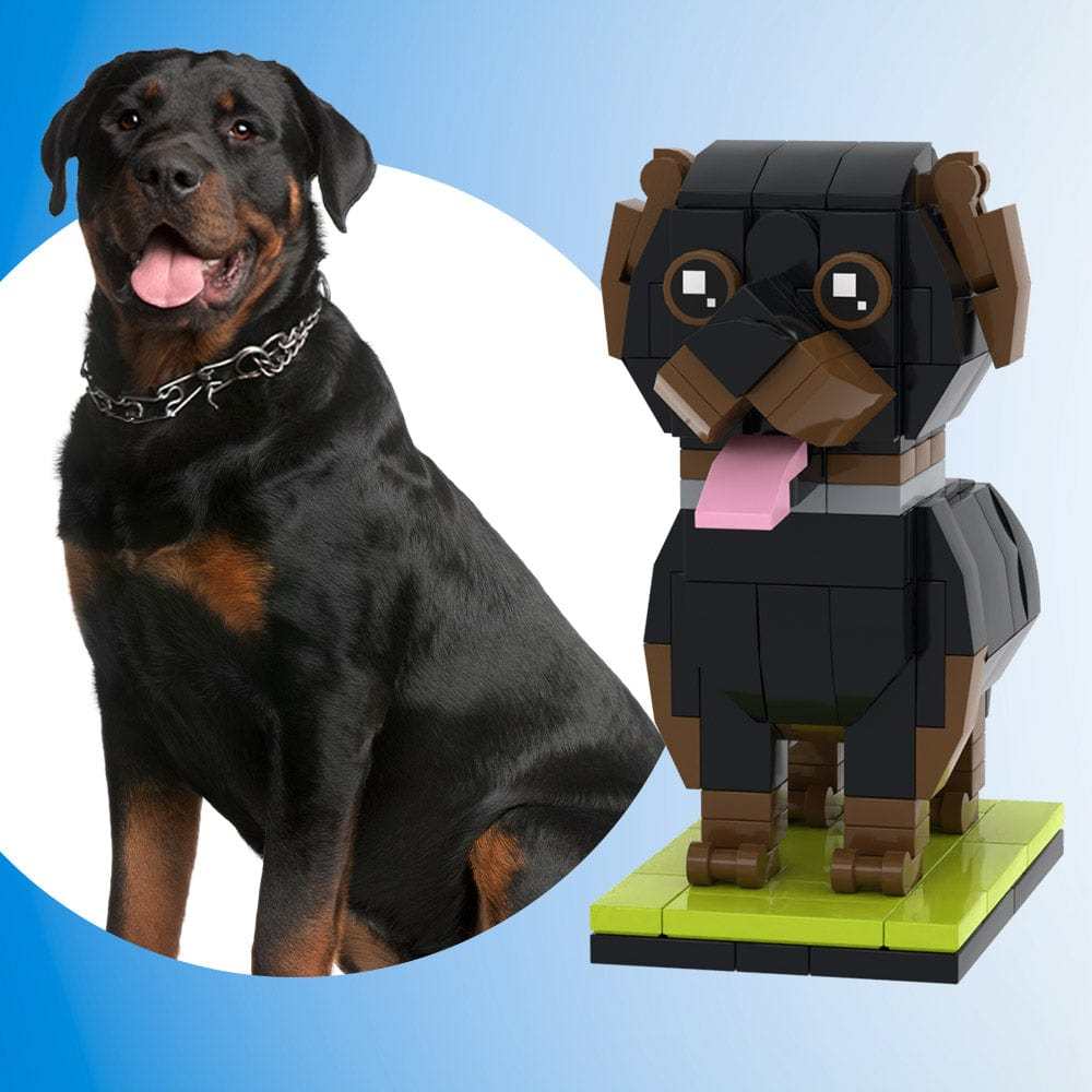 Corps Complet Personnalisable Rottweiler 1 Chien Photo Personnalisé Brique Chiffres Petit Bloc De Particules Brique Moi Chiffres Personnalisé Rottweiler Seulement - votrecollierprenomfr