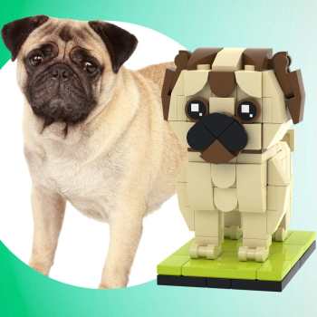 Corps Complet Personnalisable British Bulldog 1 Photo De Chien Figurines De Briques Personnalisées Petit Bloc De Particules Brique Moi Figurines Personnalisées British Bulldog Uniquement - votrecollierprenomfr