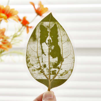 Feuille Sculpture Art Personnalisé Pet Art Personnalisé Feuille Sculpture Photo Personnalisé Feuille Photo Feuille Sculpture Signets Anniversaire Cadeau - votrecollierprenomfr