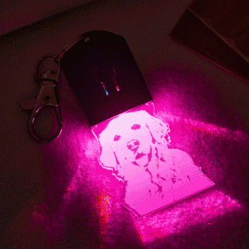 Porte-clés Photo Personnalisé Lumières Colorées Cadeaux Drôles - votrecollierprenomfr