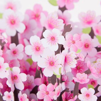 Boîte À Fleurs De Fleurs De Cerisier 3d Pop Up Carte De Vœux - votrecollierprenomfr