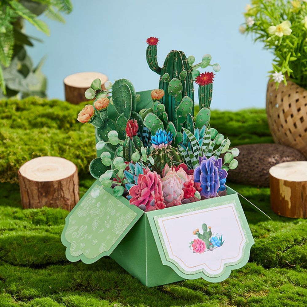 Cactus Pop Up Box Carte Fleur 3d Pop Up Carte De Vœux - votrecollierprenomfr