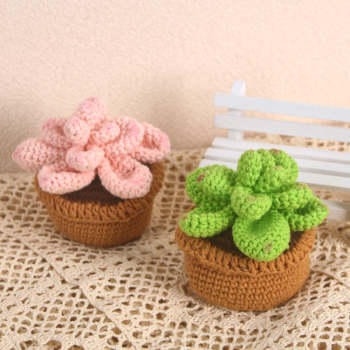 Succulentes Plantes En Pot Au Crochet Terminées Tissées À La Main Tricotées Plantes En Pot Cadeau Pour Les Amoureux De L'artisanat - votrecollierprenomfr