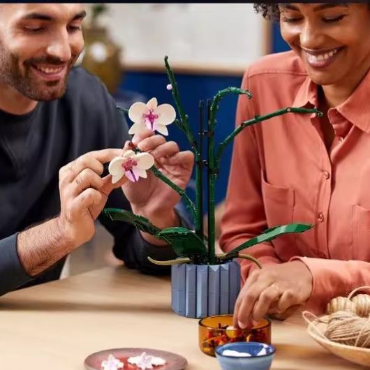 Fleur Éternelle Cadeau Pour Noël Et Décoration Intérieure Blocs De Construction De Bouquet De Fleurs - votrecollierprenomfr