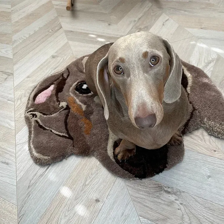 Tapis Portrait Personnalisé Pour Animaux De Compagnie - Tapis Portrait Personnalisé Pour Animaux De Compagnie - Transformez Votre Animal En Tapis Portrait - Cadeaux Pour Les Amoureux Des Animaux - votrecollierprenomfr