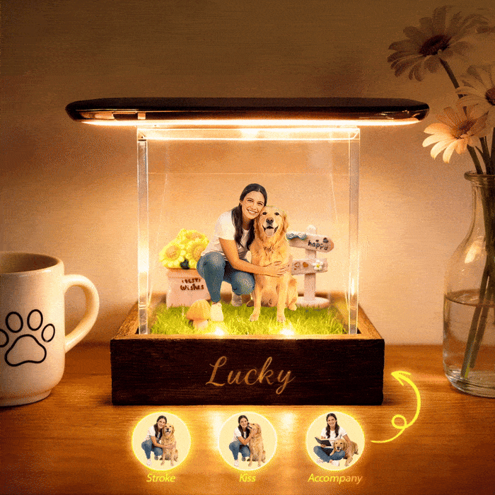 Personalized Pet Hologram Box Custom 3D Illusion Lumina Boxes Pet & Pet Owners Memorial Keepsake Gift
