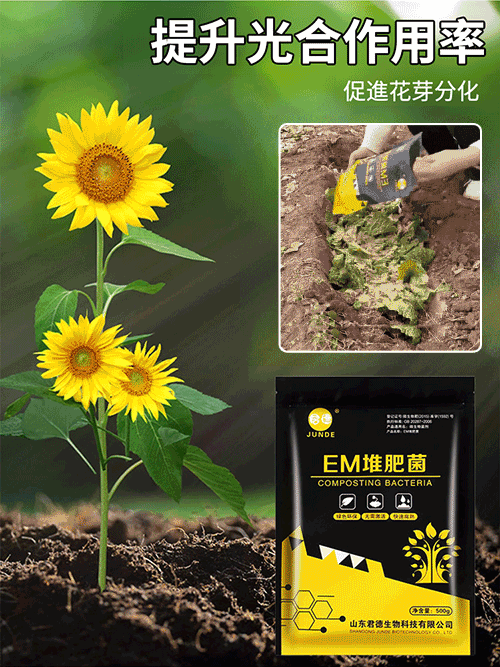 【農神附身】EM廚餘堆肥菌