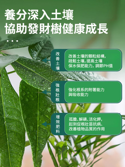 【農神附身】EM廚餘堆肥菌