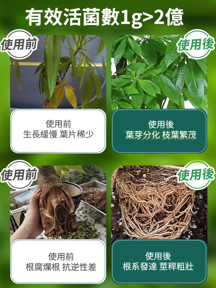 【農神附身】EM廚餘堆肥菌