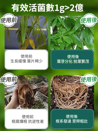 【農神附身】EM廚餘堆肥菌