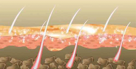 8f1d87edb470fad5fc7dd6a0bd0a938e.gif