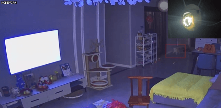 Honeycam 2025-05-13 16-53-09.gif