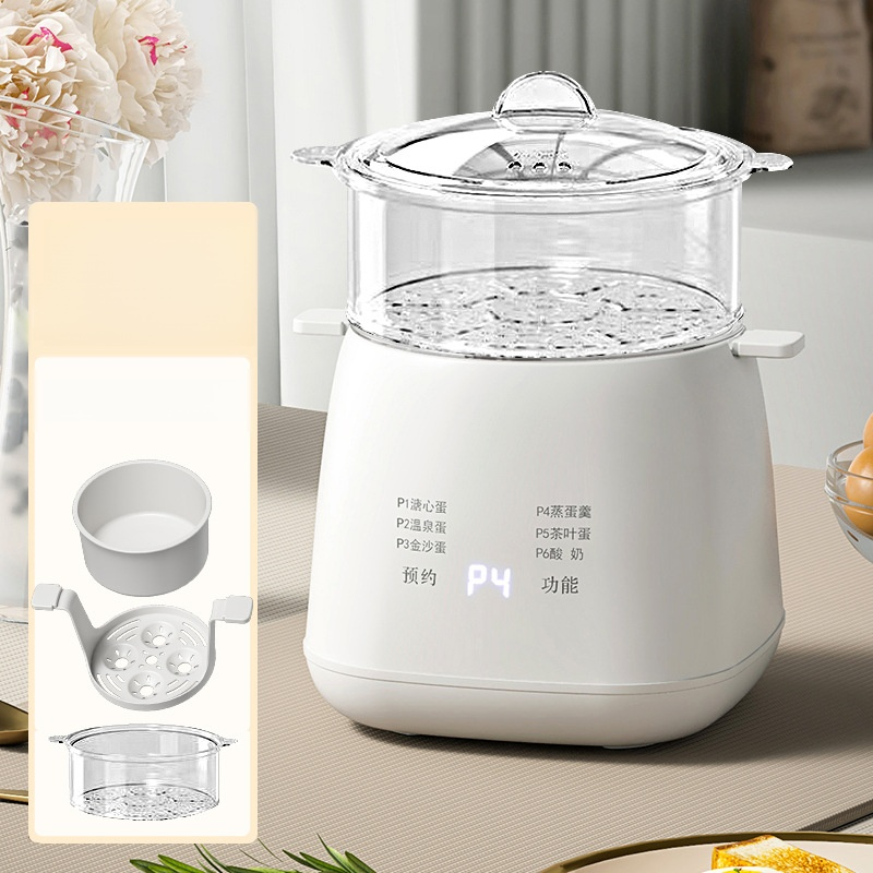 110V multifunctional egg steamer
