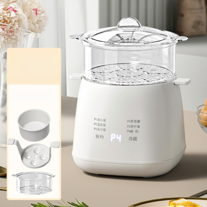 110V multifunctional egg steamer
