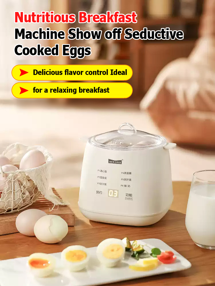 110V multifunctional egg steamer