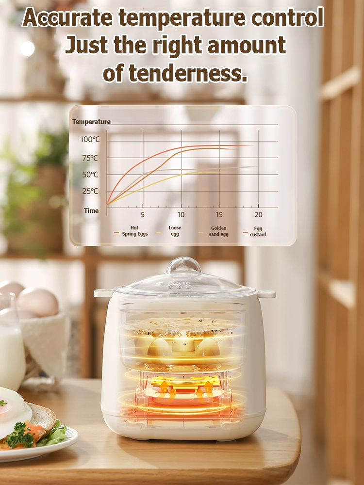110V multifunctional egg steamer