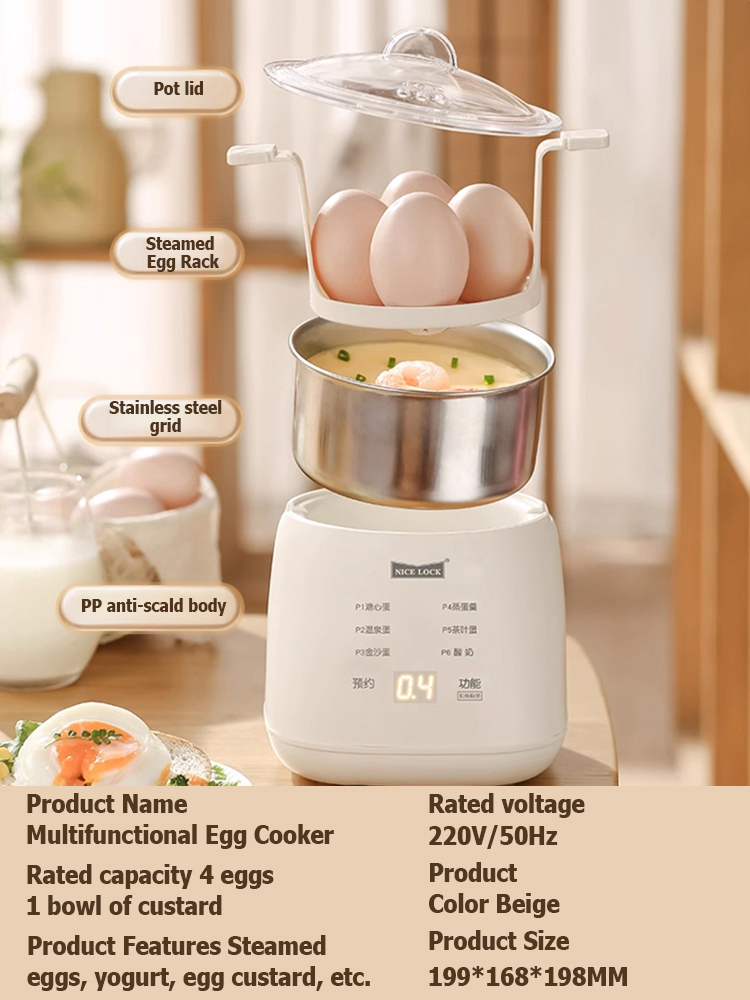 110V multifunctional egg steamer